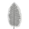 kratom