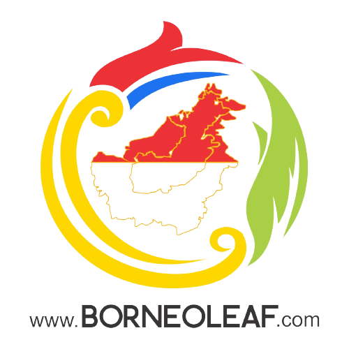 Borneo Leaf